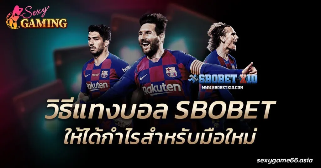 วิธีแทงบอล SBOBET ให้ได้กำไรสำหรับมือใหม่